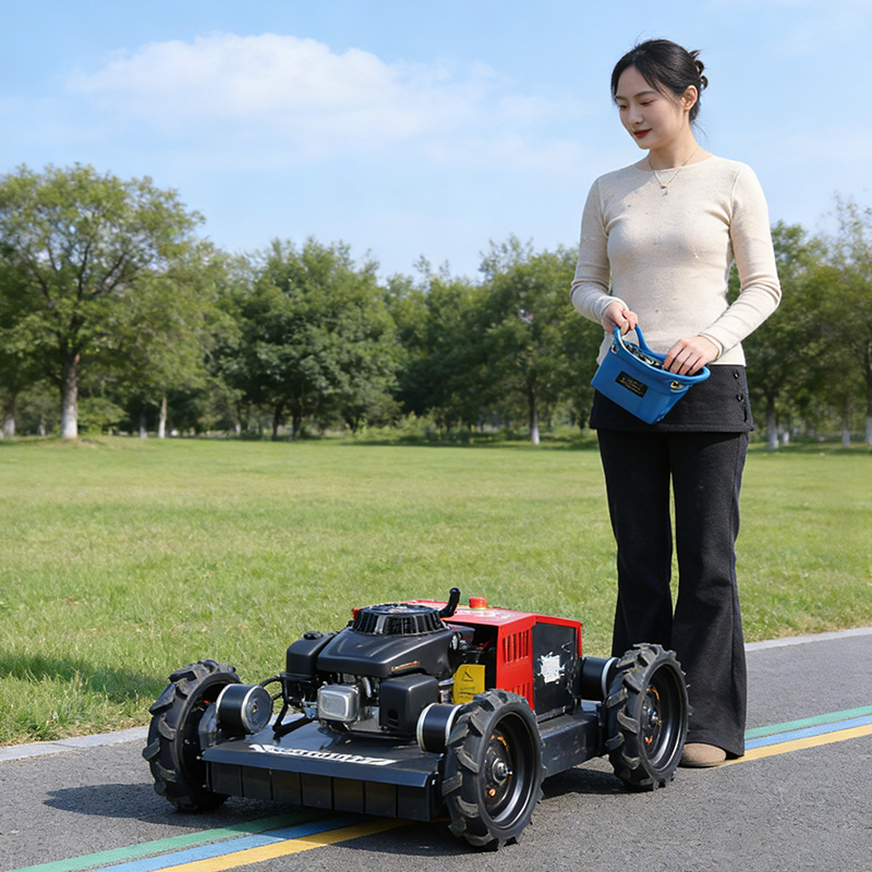 Agriculture Farming Products - Customized New Products Rideable style Lawn